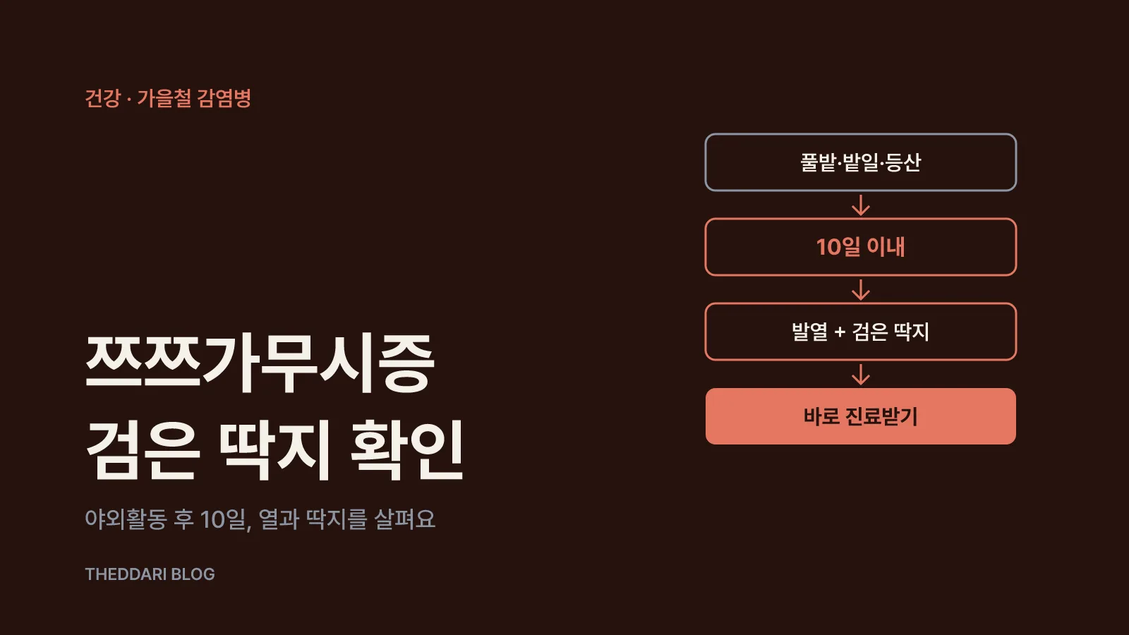 풀밭 야외활동 뒤 10일 이내 발열과 검은 딱지가 나타나면 바로 진료받는 흐름도