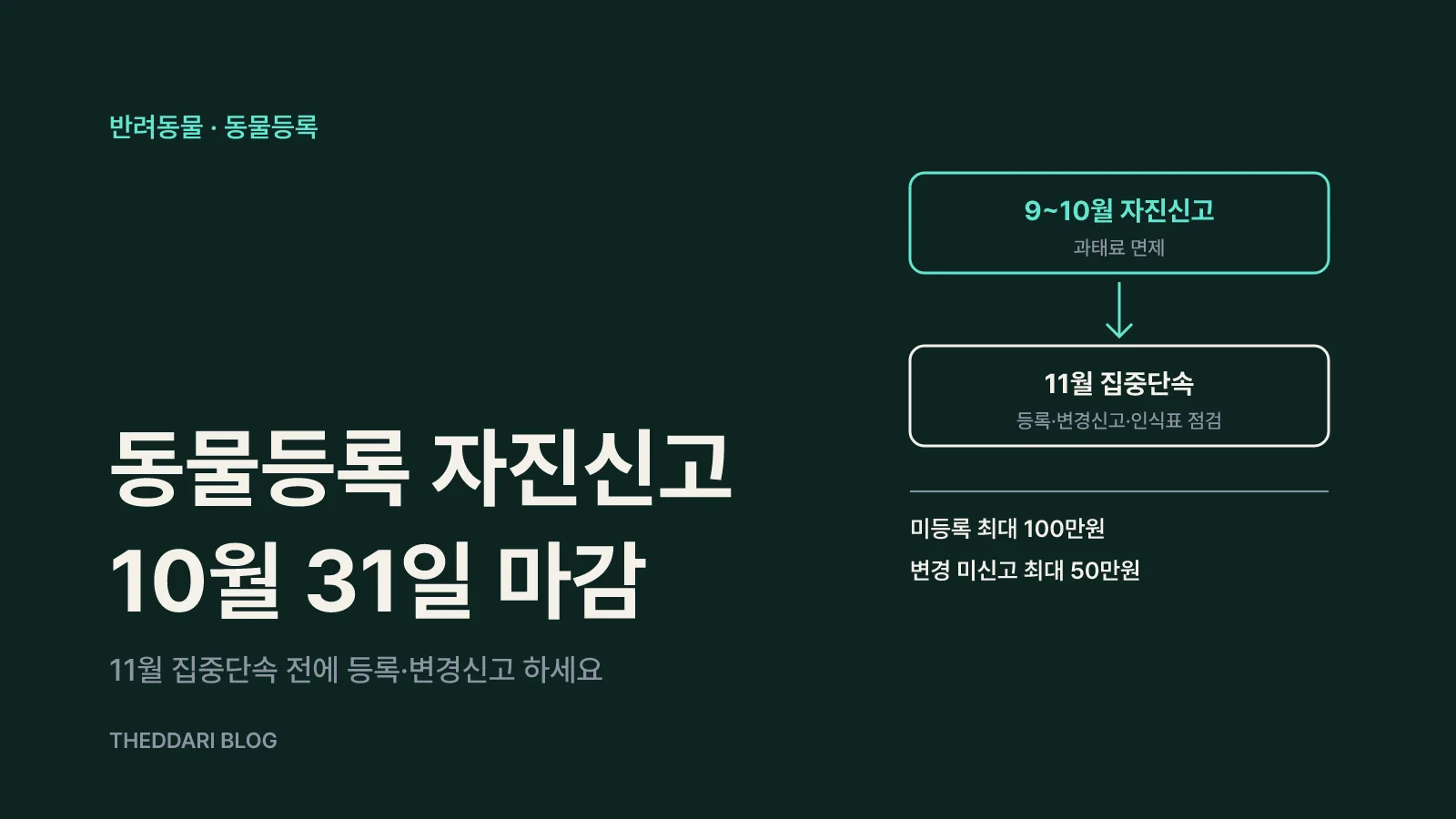 9~10월 자진신고 기간 뒤 11월 집중단속으로 이어지는 일정과 미등록 최대 100만원, 변경 미신고 최대 50만원 과태료