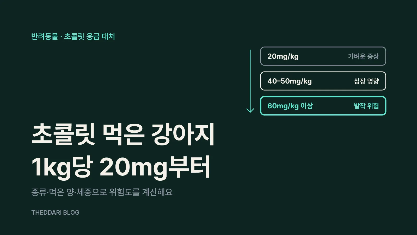 체중 1kg당 메틸잔틴 20mg, 40–50mg, 60mg 이상 구간별로 가벼운 증상, 심장 영향, 발작 위험을 나타낸 단계 그림