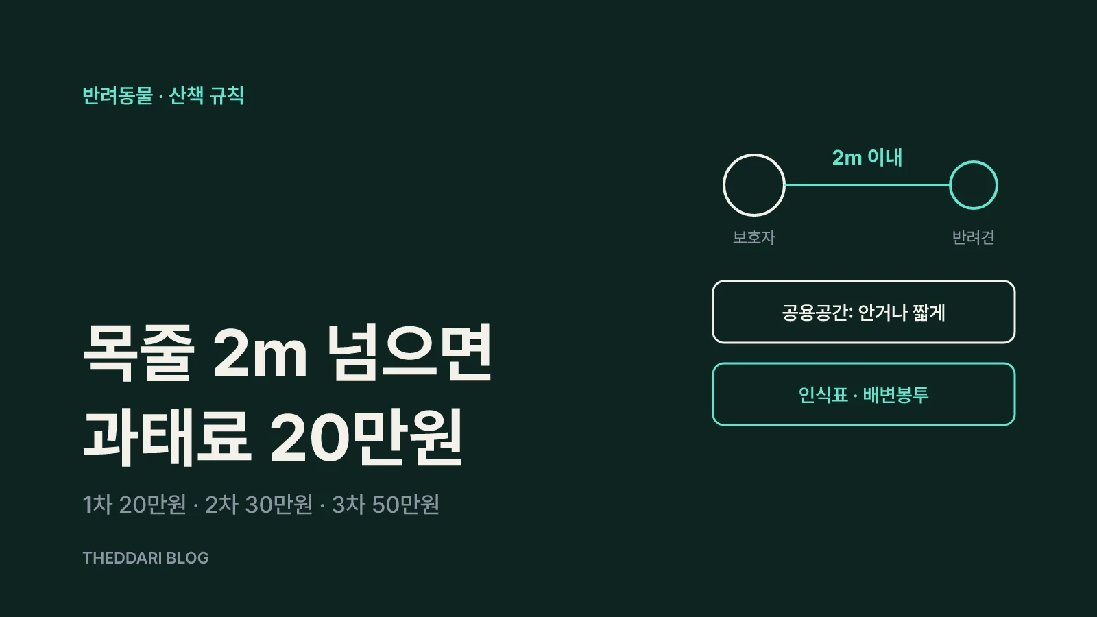 보호자와 반려견 사이 2m 이내 줄, 공용공간 통제, 인식표·배변봉투를 정리한 그림