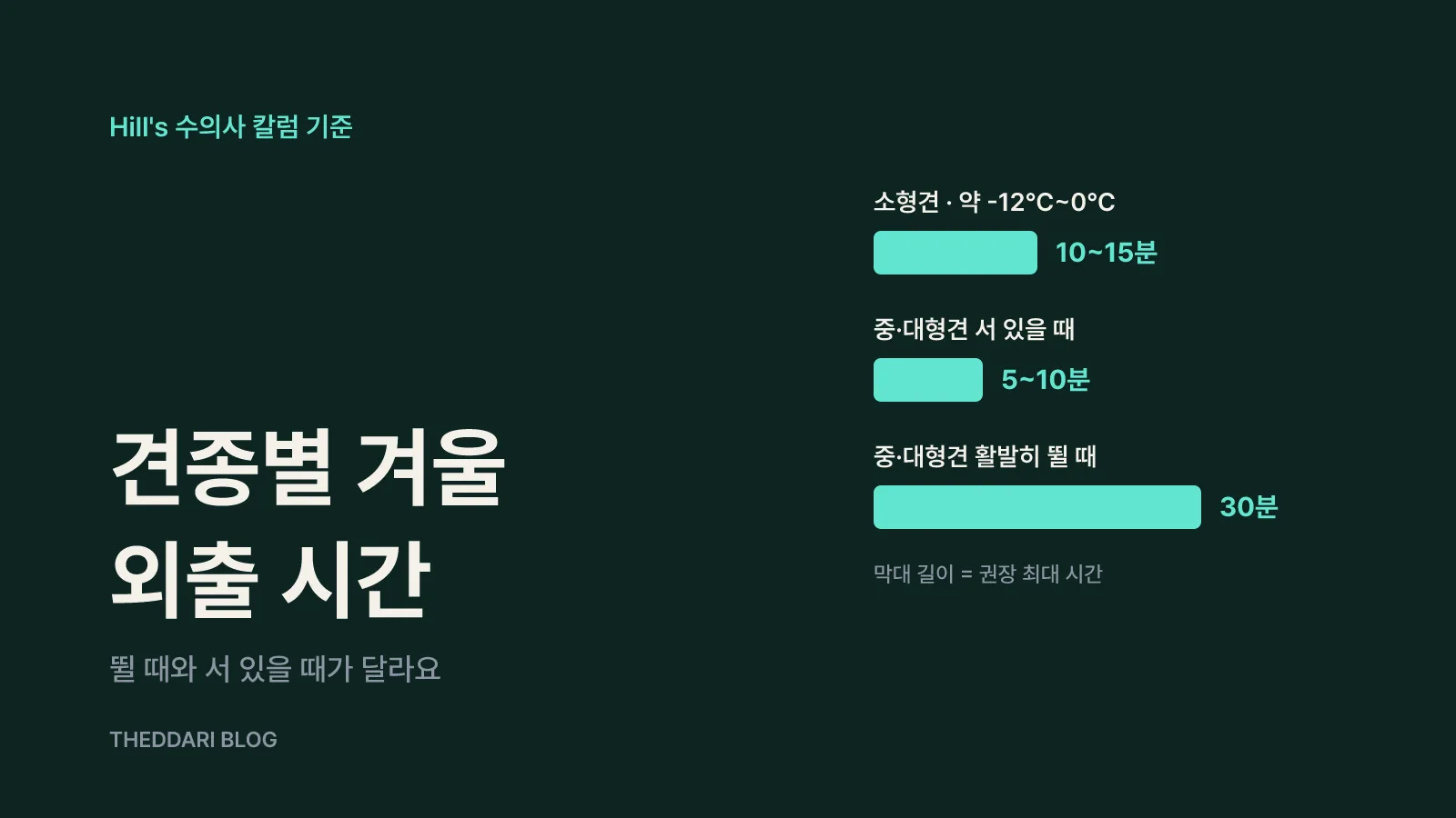 체형·털·나이에 따라 달라지는 겨울 산책 시간