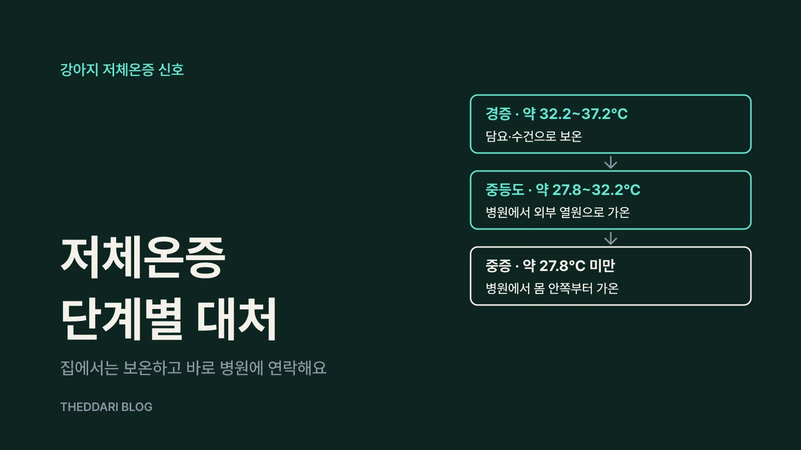 저체온증·동상 신호와 집에서 할 일