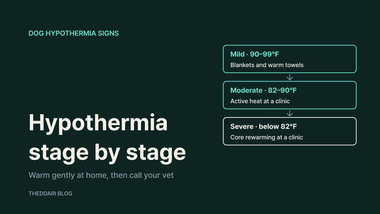Signs of hypothermia and frostbite, and what to do