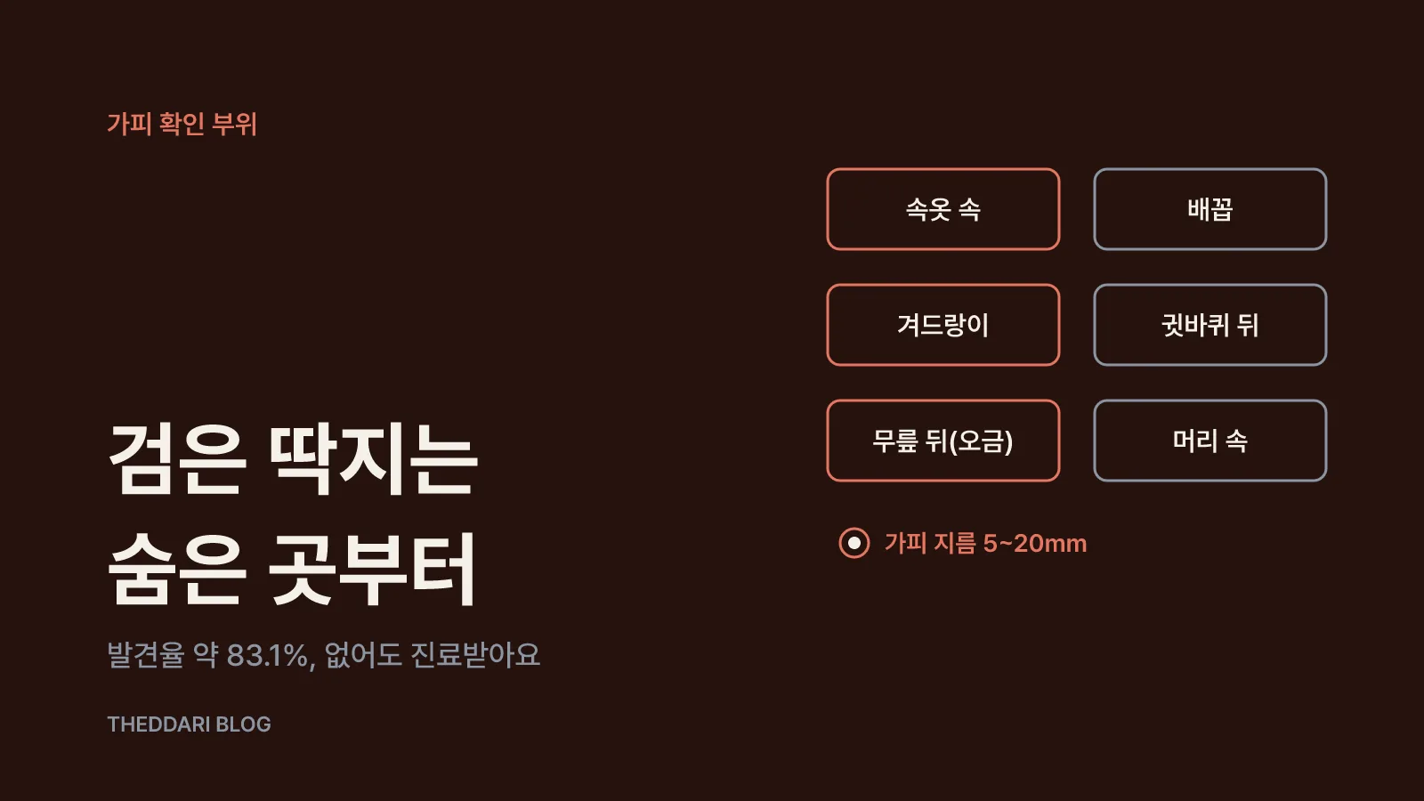 검은 딱지(가피) 찾는 법과 대표 증상