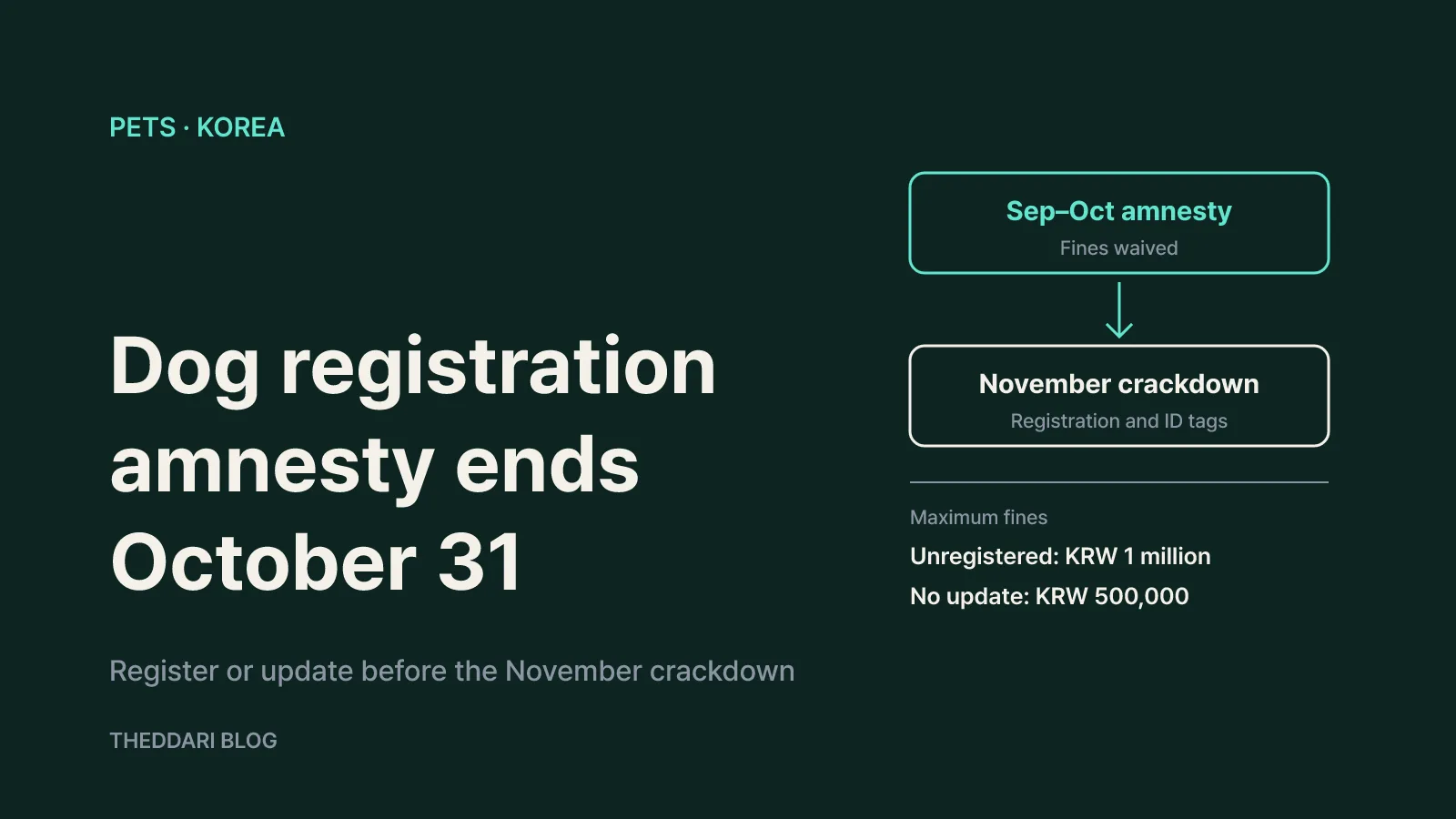 Timeline from the September–October fine-free registration window to the November crackdown, with fines of up to KRW 1 million for no registration and KRW 500,000 for unreported changes